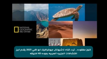 كنوز مفقودة.. تردد قناة ناشيونال جيوغرافيك أبو ظبي 2025 يقدم أبرز اكتشافات الجزيرة العربية بجودة HD فائقة
